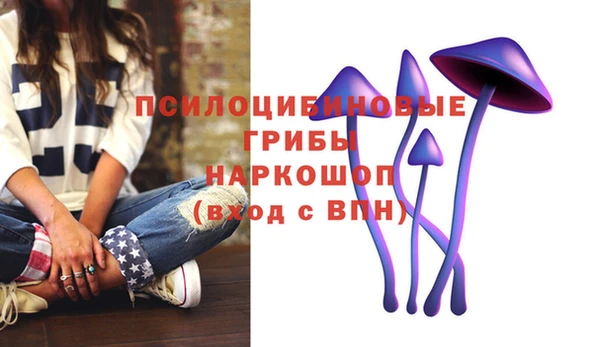 индика Вязники