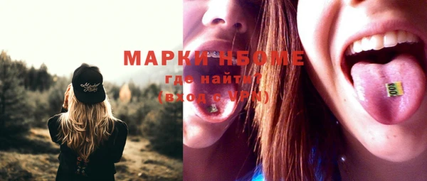 индика Вязники