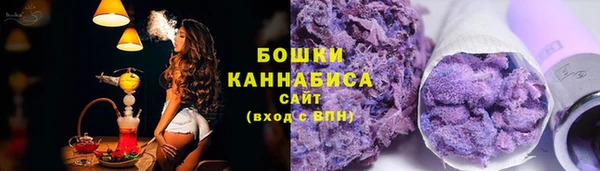 индика Вязники