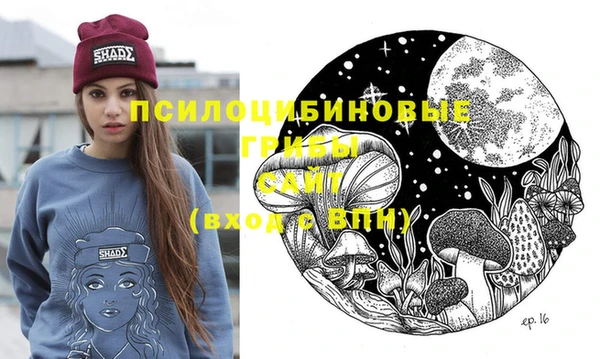 ALPHA PVP Вяземский