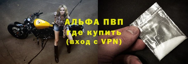 индика Вязники
