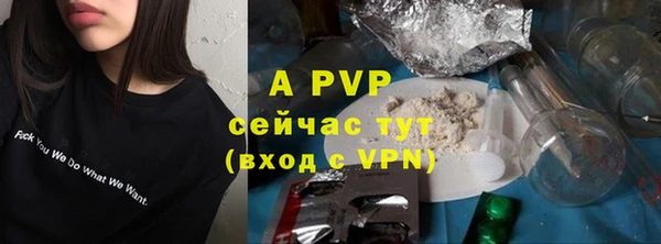 индика Вязники