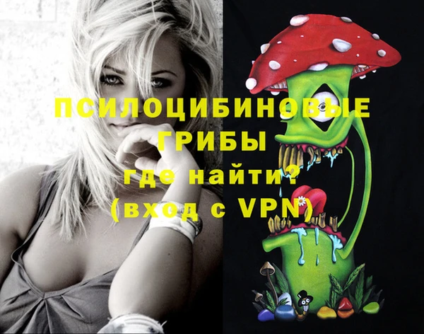 индика Вязники