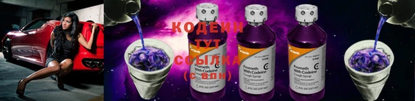 амф Вязьма