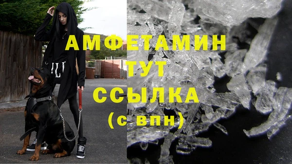 амф Вязьма