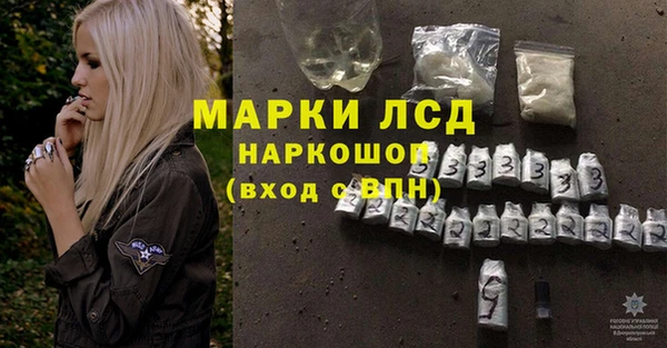 индика Вязники